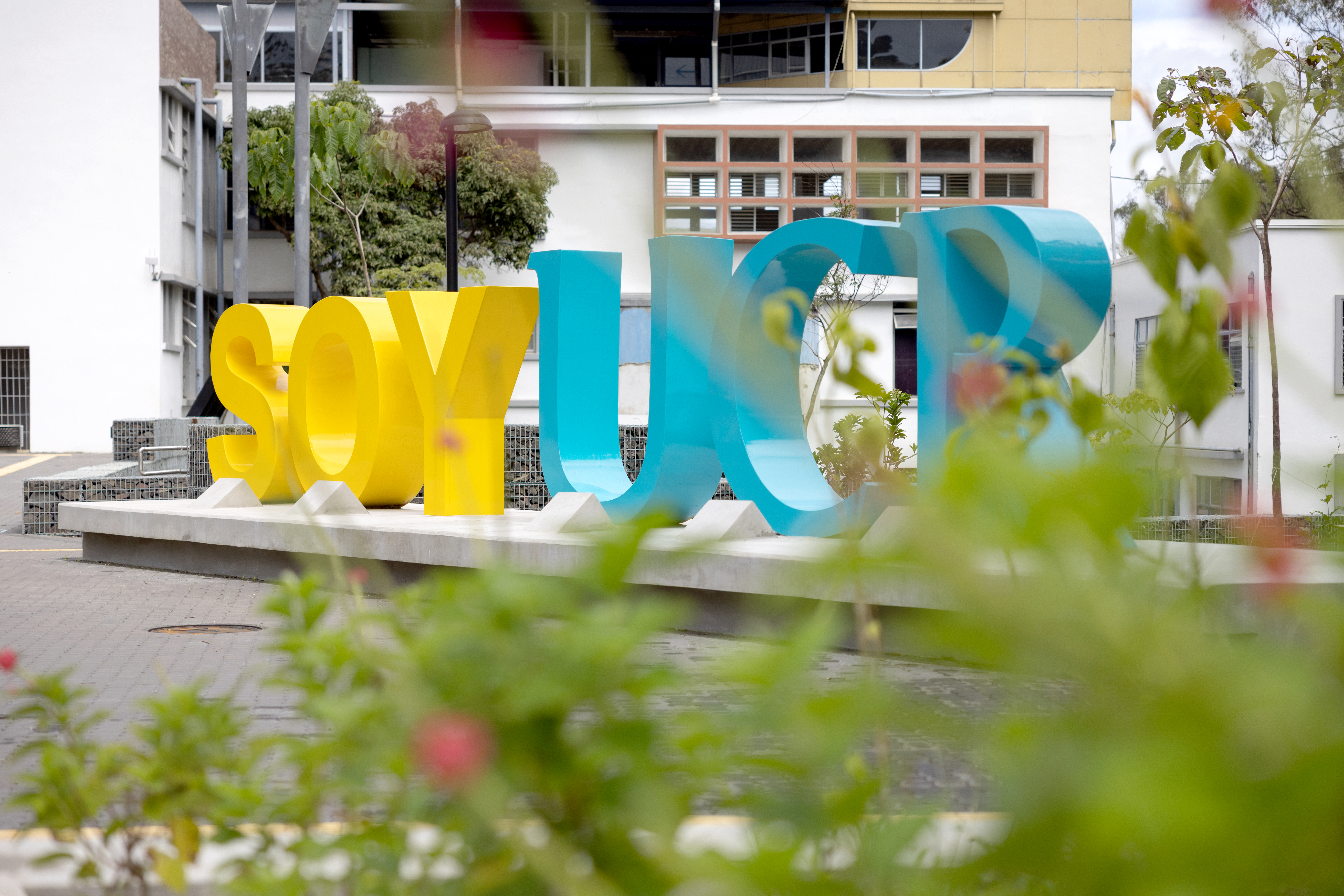 Conector biológico y peatonal de la Sede Rodrigo Facio, ubicado en el antiguo parqueo de la Facultad de Ingeniería, un espacio icónico diseñado para favorecer el paso de la fauna urbana y fomentar en la comunidad universitaria el esparcimiento y el disfrute de la naturaleza en beneficio de la salud mental.
El proyecto diseñado por la Oficina Ejecutora del Programa de Inversiones (OEPI) materializa el sueño de conectar los ecosistemas del Jardín Botánico José María Orozco y el Bosquecito Leonelo Oviedo para ayudar a la conservación de la vida silvestre. Para ello, se sembraron 27 árboles nativos, que al crecer, permitirán enlazar las áreas protegidas del campus con el resto de la trama verde del cantón de Montes de Oca.
La inauguración se realizó el miércoles 15 de mayo de 2024 con la participación de las autoridades universitarias, estudiantes, personas funcionarias e invitados e invitadas especiales. Entre ellos; el ex-rector Dr. Gabriel Macaya Trejos, directivos de la Compañía Nacional de Fuerza y Luz y del Museo Nacional